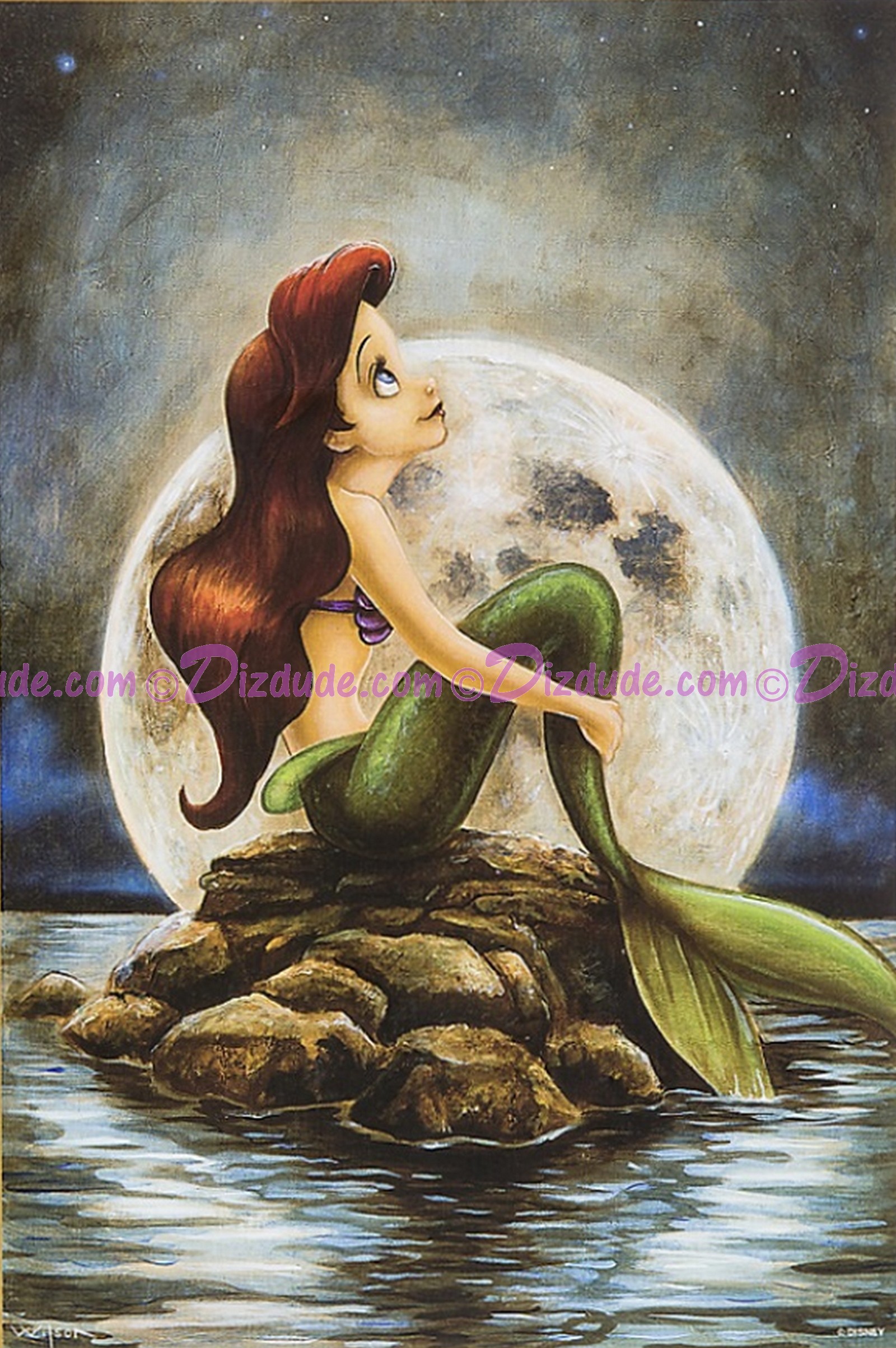 The Little Mermaid 25th Anniversary 1000 Piece Disney Signature Puzzle