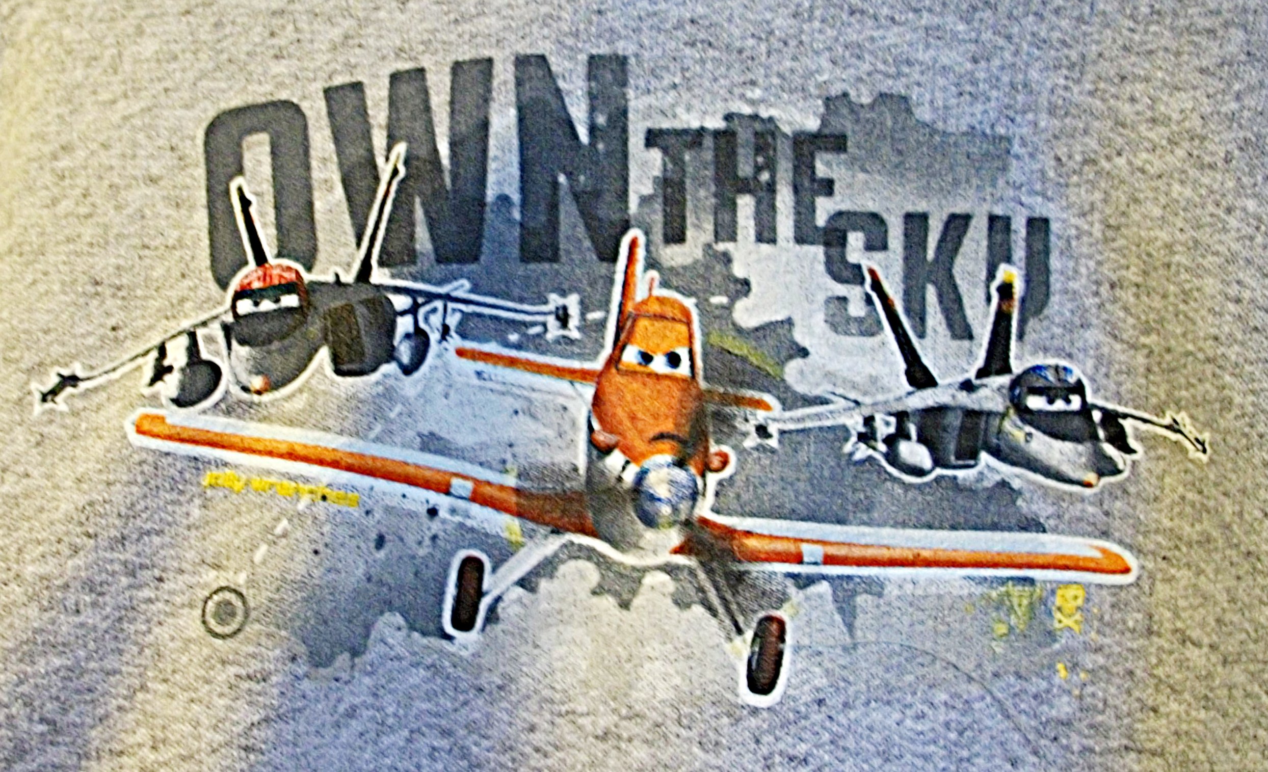 Disney Pixar "Planes" Own The Sky Kids Hoodie
