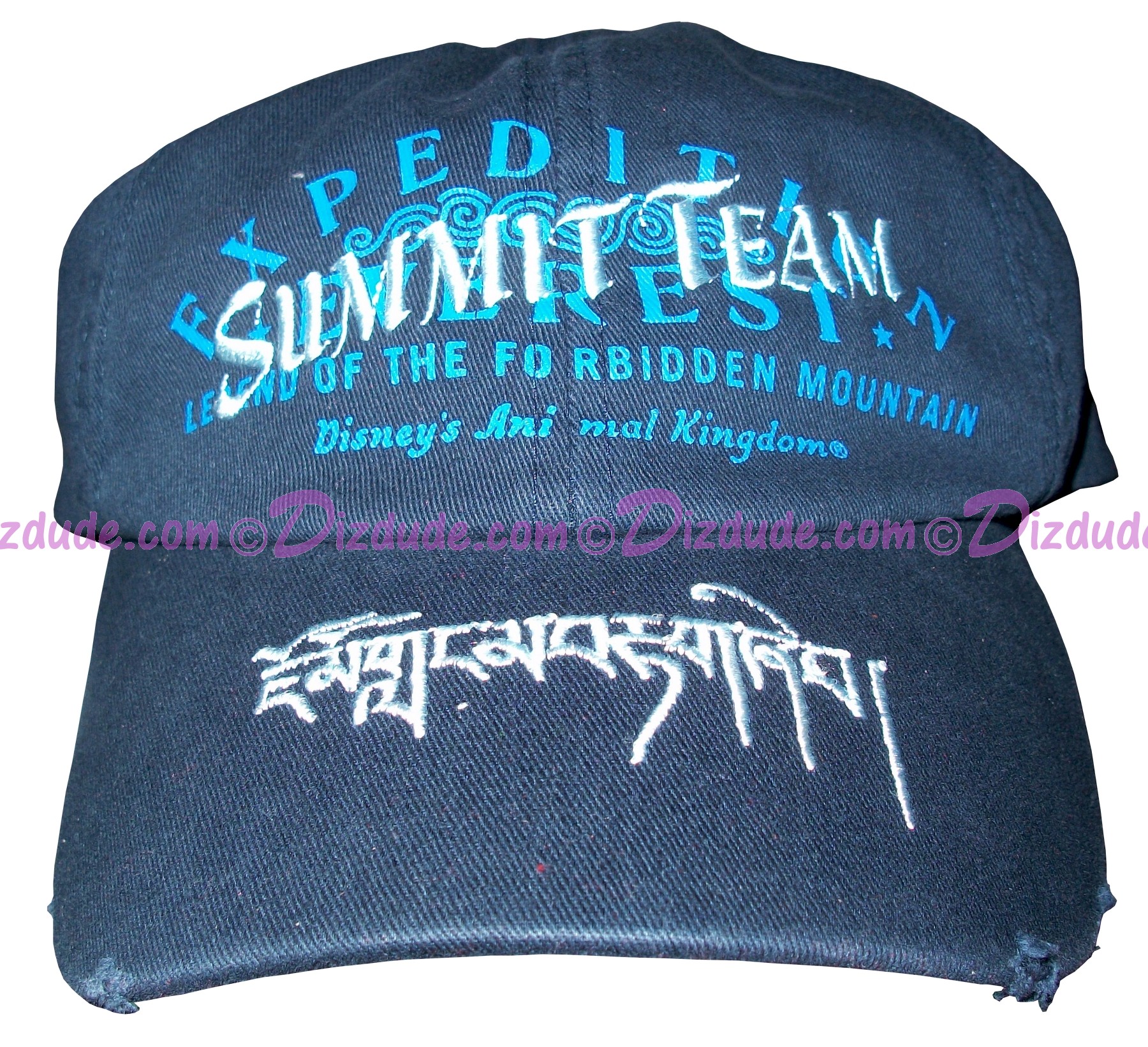 (SOLD OUT) Disney Animal Kingdoms Expedition Everest Blue Summit Team Hat