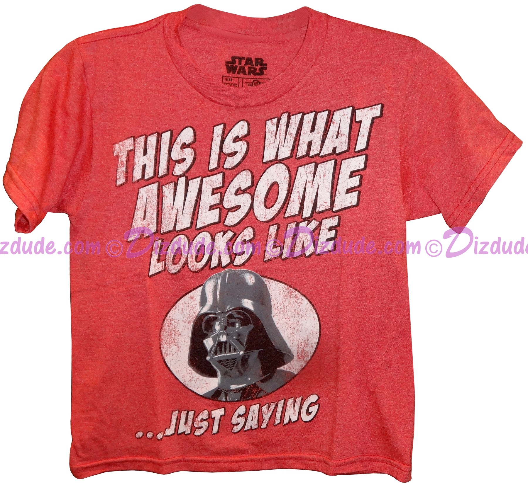 Disney Star Wars Darth Vader "This Is What Awesome Looks Like" Youth T-Shirt © Dizdude.com