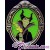 Walt Disney World - Framed Maleficent Pin